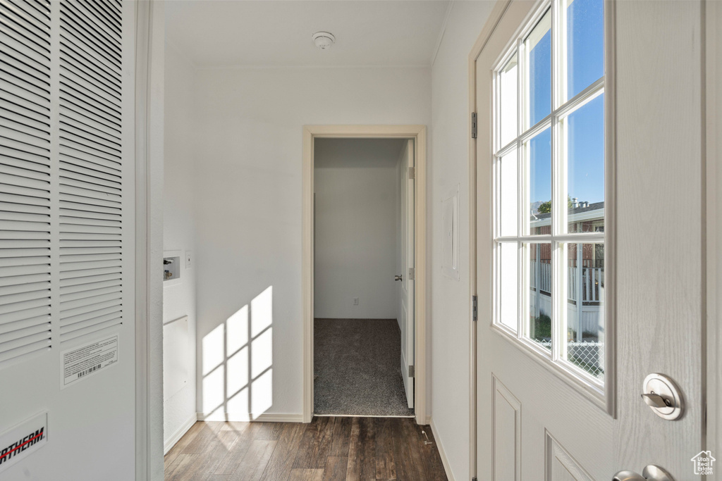 Corridor with dark wood-type flooring and a wealth of natural light