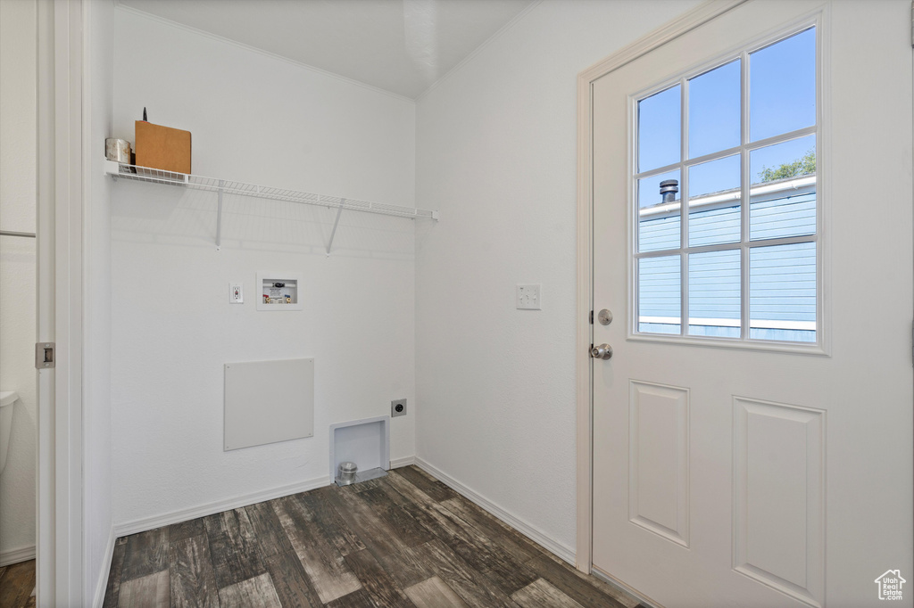 Laundry room featuring electric dryer hookup, dark hardwood / wood-style flooring, and washer hookup