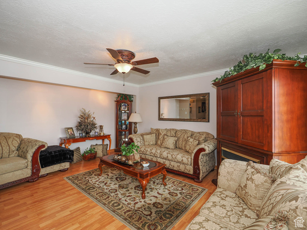 Living room featuring ornamental molding, light hardwood / wood-style flooring, ceiling fan, and a textured ceiling