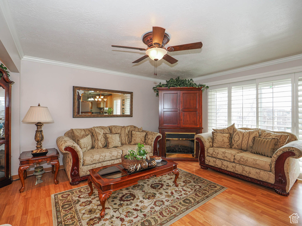 Living room with light hardwood / wood-style flooring, crown molding, and ceiling fan