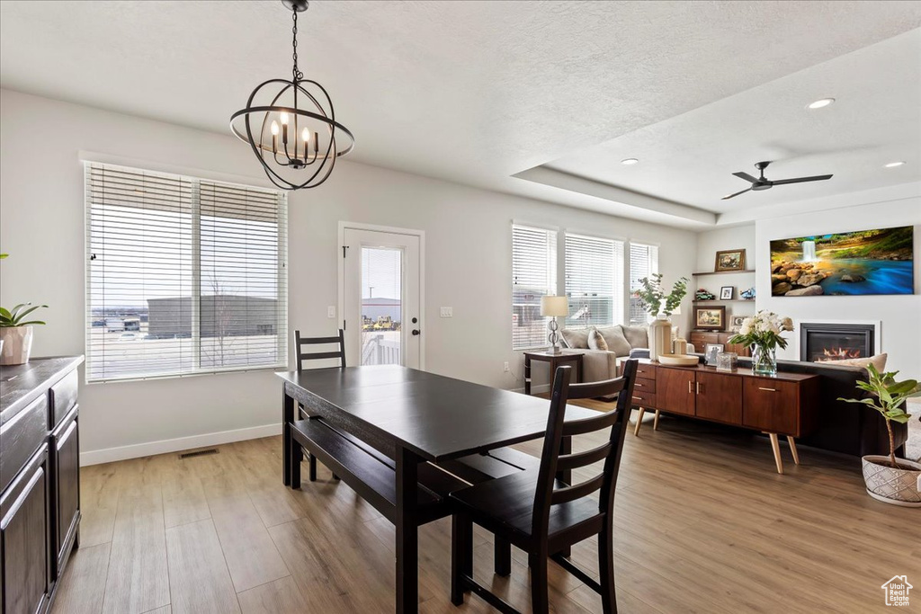 Dining room featuring a tray ceiling, ceiling fan with notable chandelier, and light hardwood / wood-style floors
