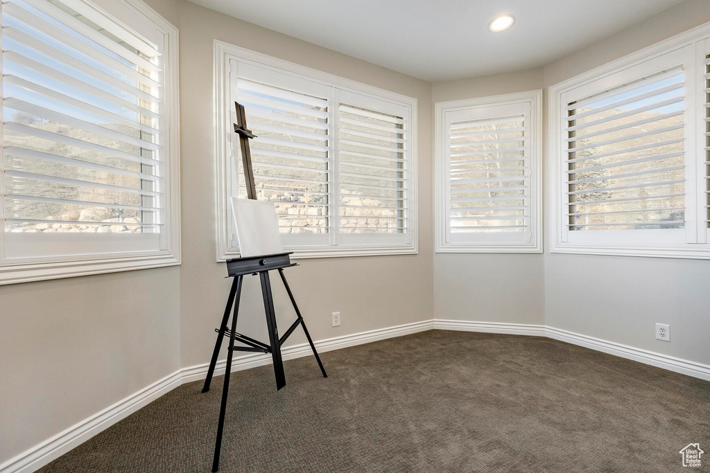 Spare room with a wealth of natural light and carpet