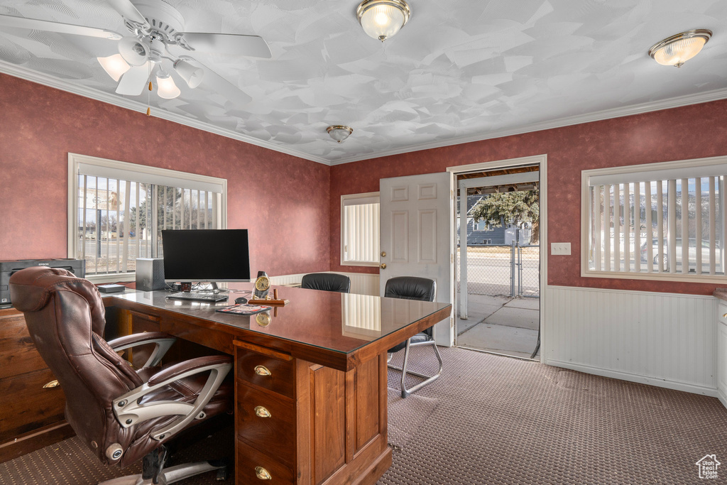Office area featuring dark colored carpet, ornamental molding, and ceiling fan