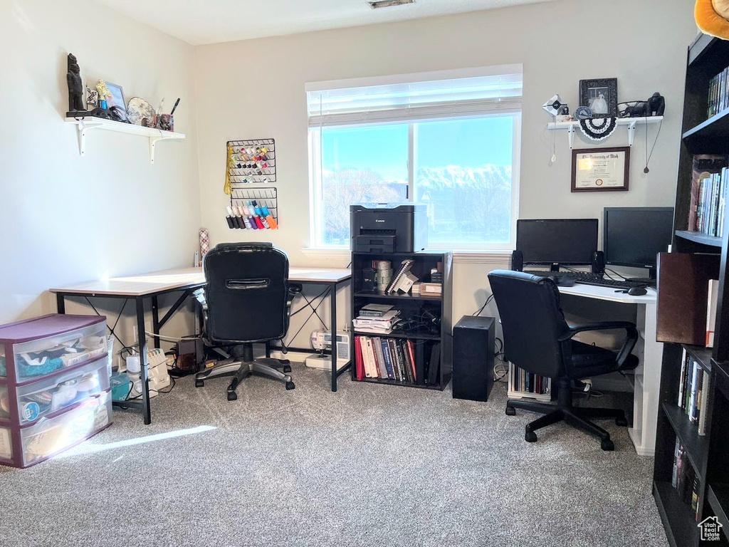 Office space featuring carpet