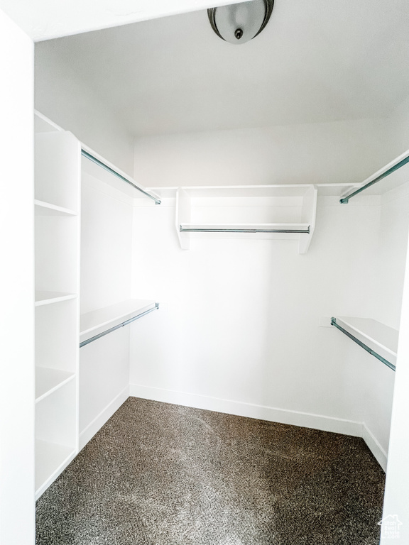 Walk in closet featuring carpet and an AC wall unit