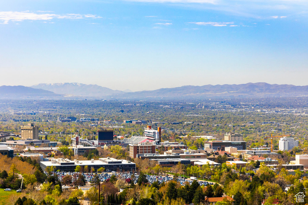 City view with a mountain view