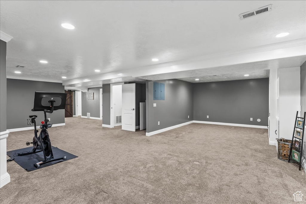 Exercise room featuring crown molding and carpet
