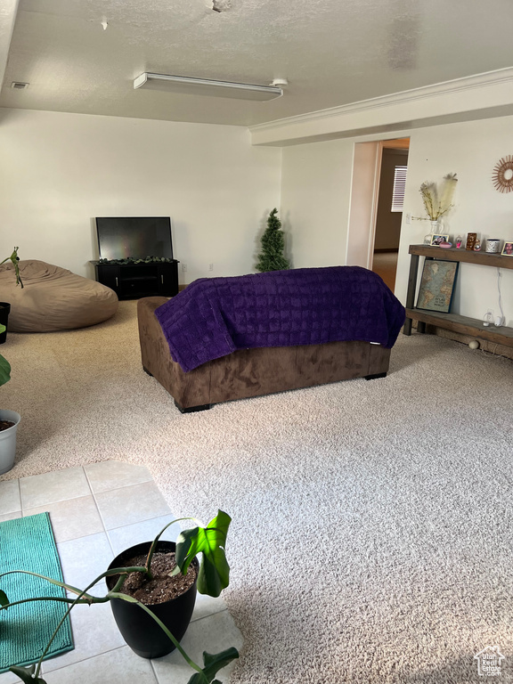 Living room with a textured ceiling and light carpet