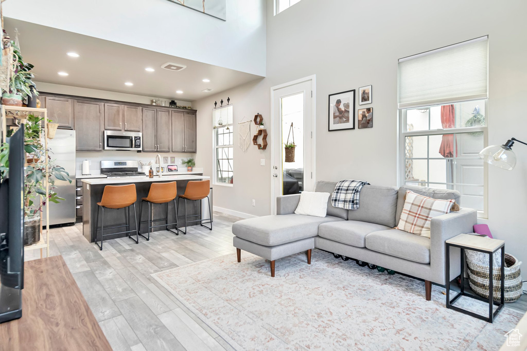 Living room featuring sink, plenty of natural light, and light hardwood / wood-style floors