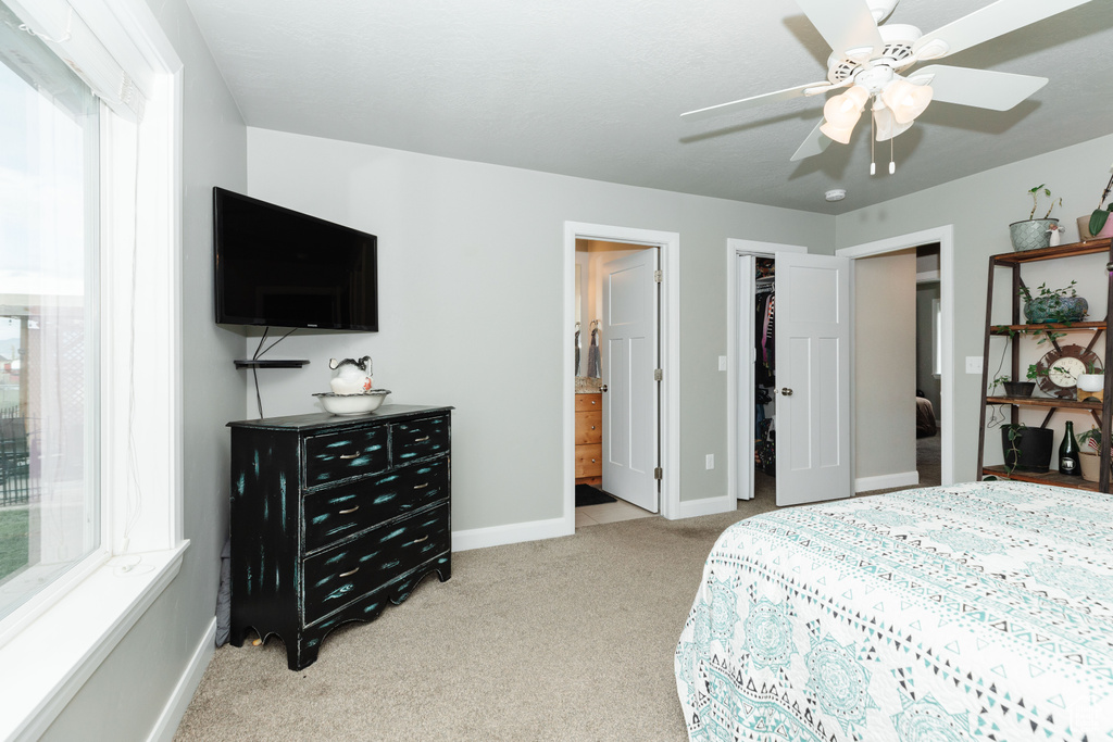 Carpeted bedroom featuring a closet, connected bathroom, a walk in closet, and ceiling fan