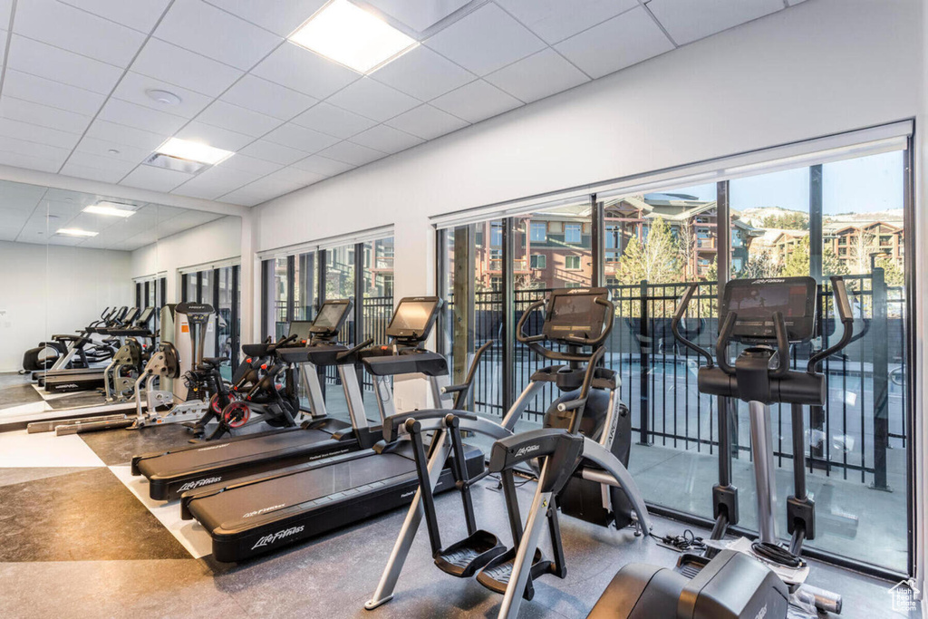 Gym with a drop ceiling and a wealth of natural light