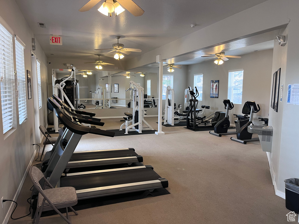 Exercise room featuring carpet flooring and ceiling fan