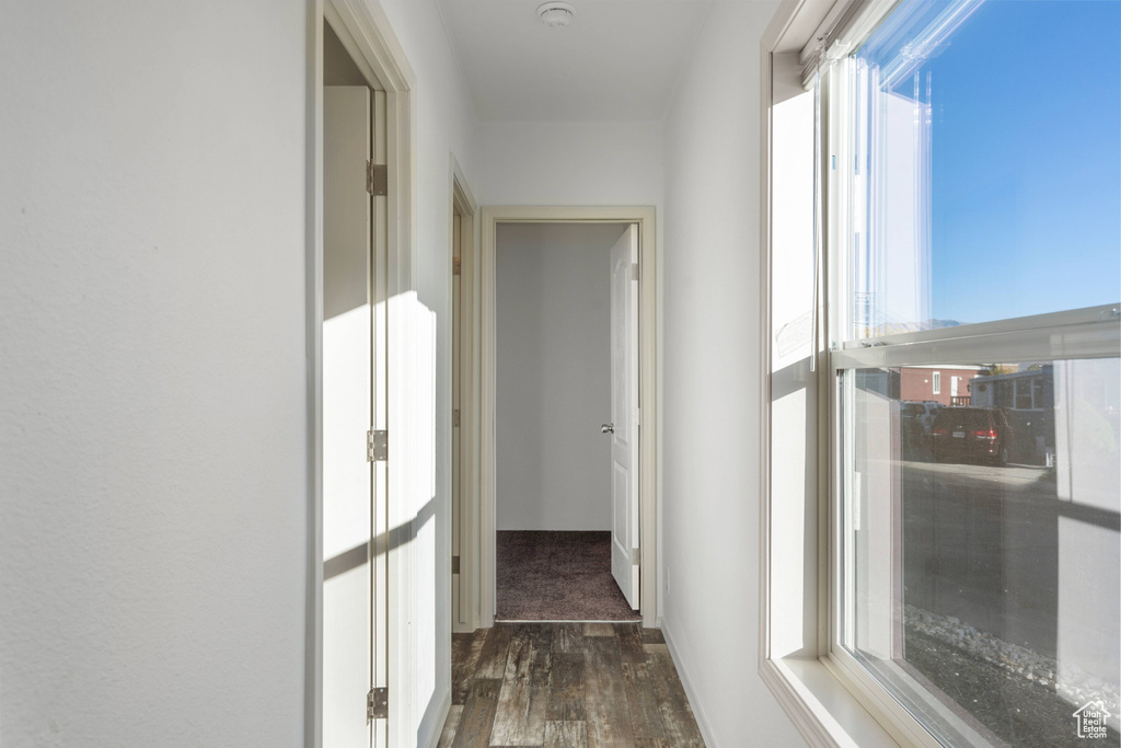 Corridor featuring dark wood-type flooring and plenty of natural light
