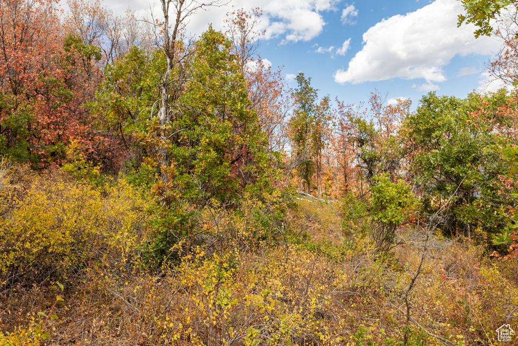 10281 N TERRAE CT Park City, UT 84060