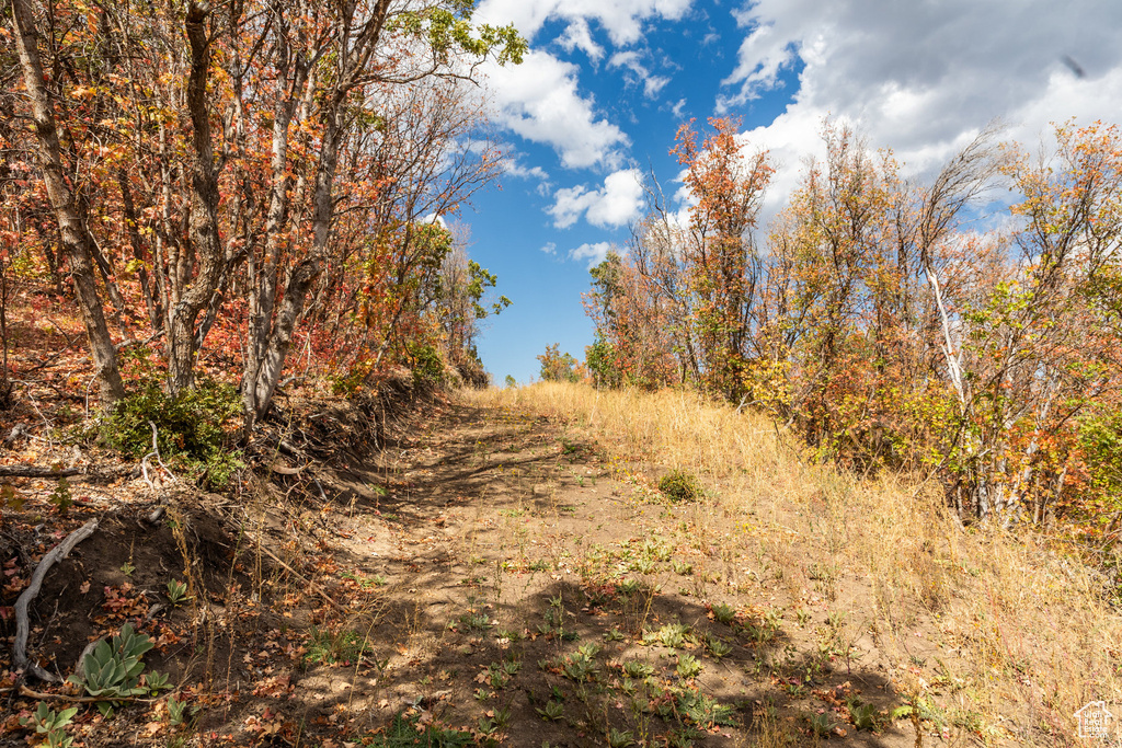 10281 N TERRAE CT Park City, UT 84060