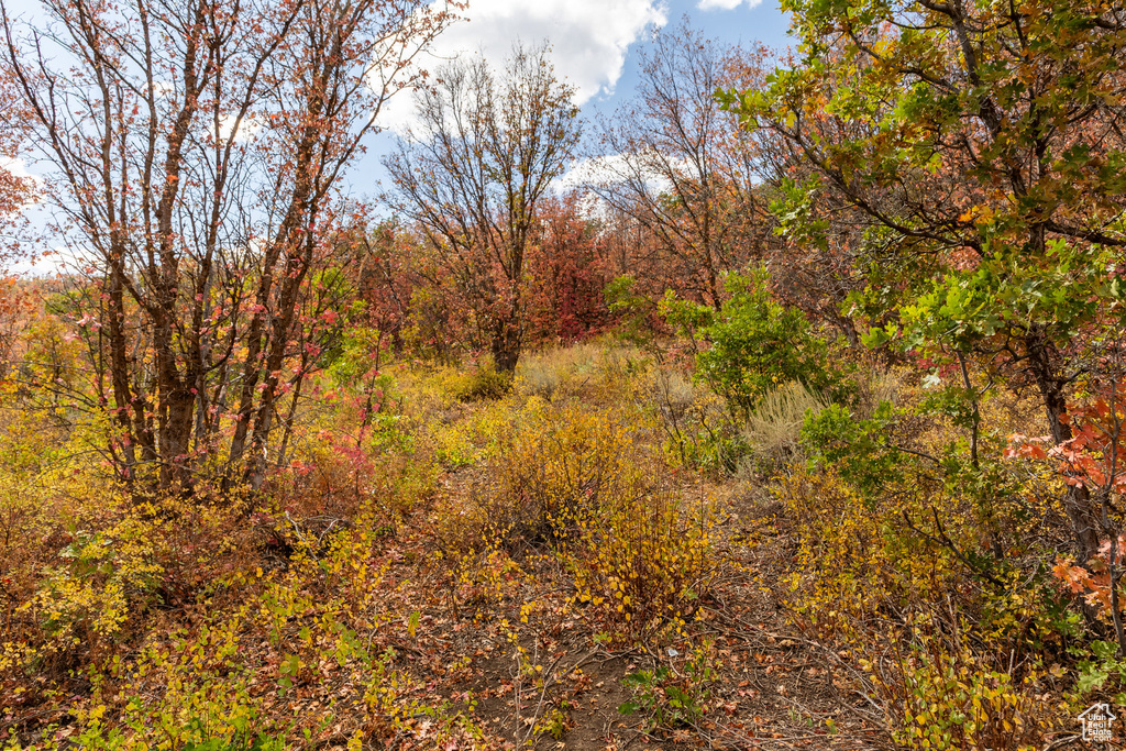 10281 N TERRAE CT Park City, UT 84060