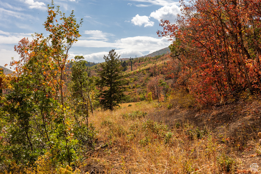 10281 N TERRAE CT Park City, UT 84060