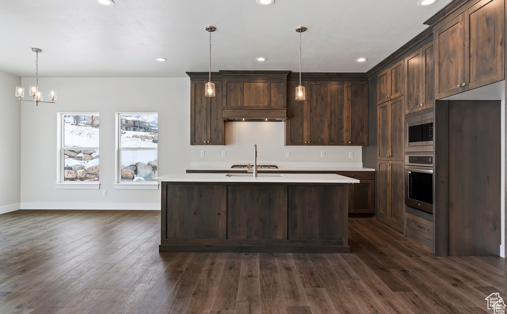 Kitchen featuring dark hardwood / wood-style flooring, built in appliances, and dark brown cabinetry