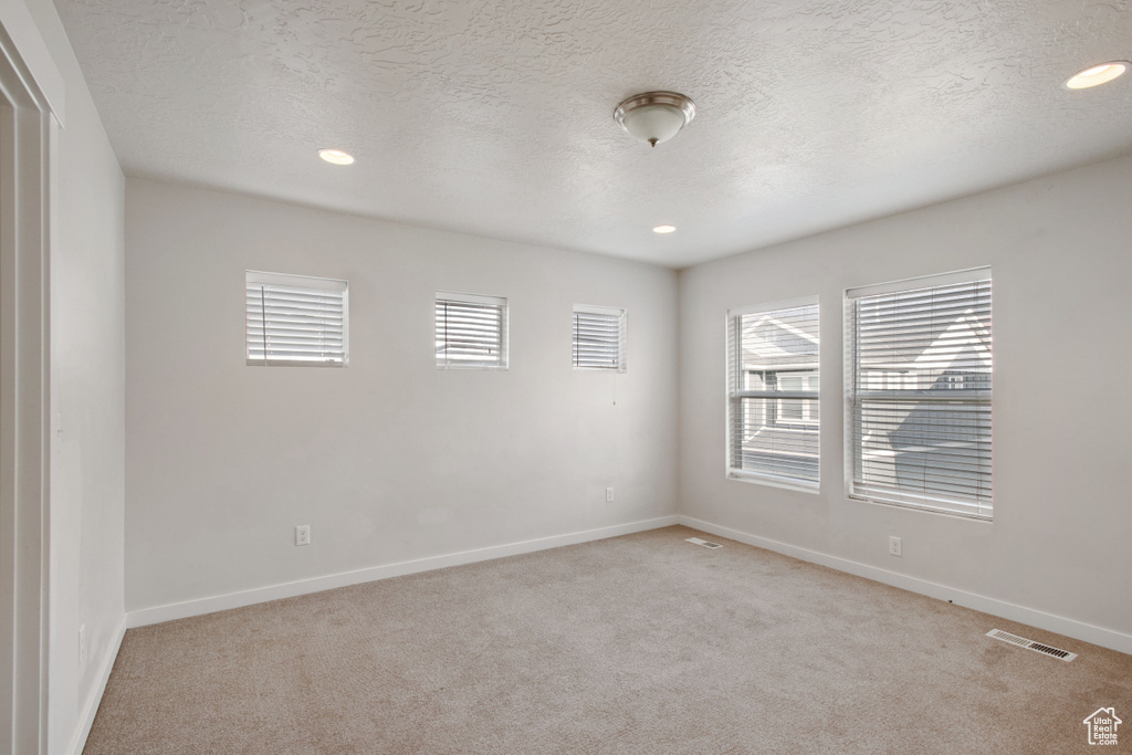 Empty room featuring a textured ceiling, light colored carpet, and plenty of natural light
