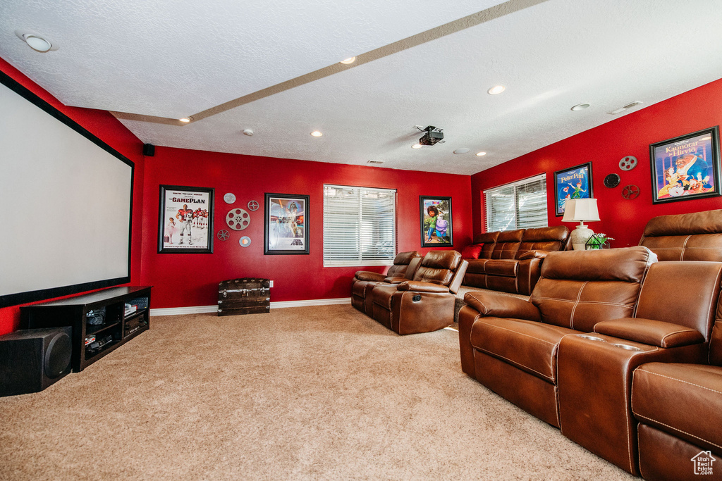 Carpeted cinema featuring a textured ceiling