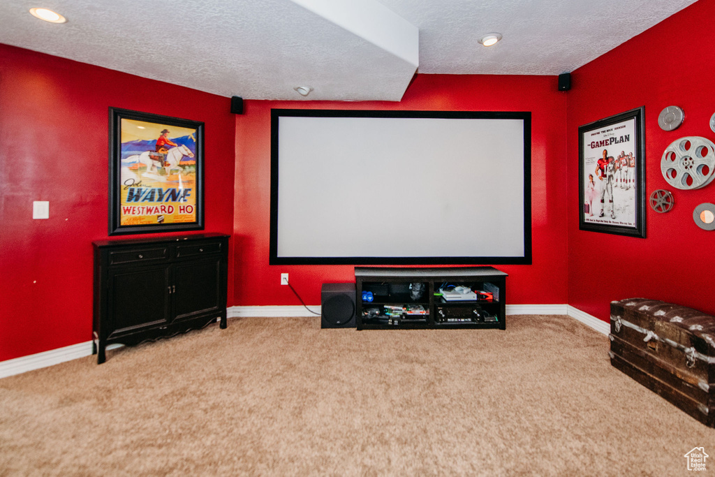 Carpeted cinema with a textured ceiling