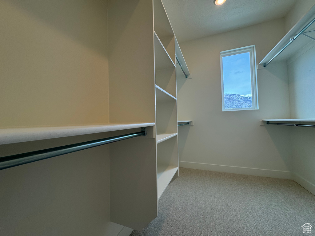 Spacious closet with light carpet