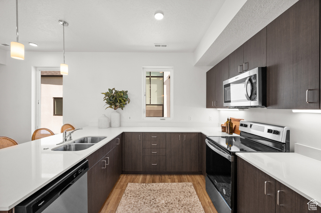 Kitchen featuring hanging light fixtures, sink, appliances with stainless steel finishes, light hardwood / wood-style floors, and dark brown cabinets