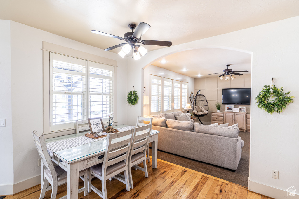 Dining area with plenty of natural light, light hardwood / wood-style floors, and ceiling fan