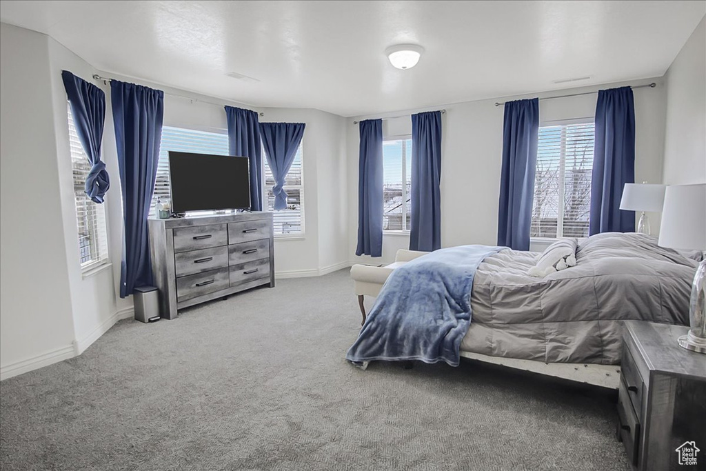 Bedroom with light carpet and multiple windows