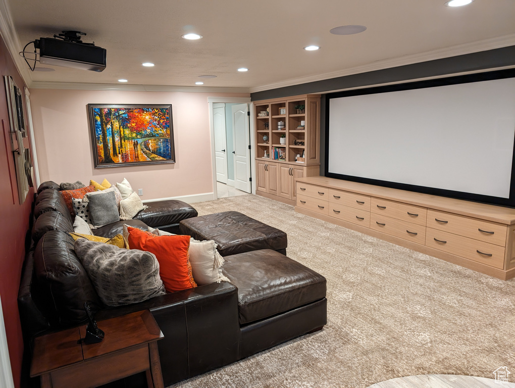 Cinema room with light carpet, ornamental molding, and built in features