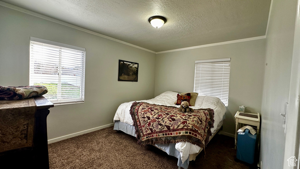 Carpeted bedroom with a textured ceiling and crown molding