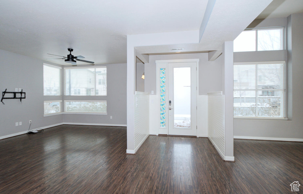 Foyer entrance with dark hardwood / wood-style floors, a wealth of natural light, and ceiling fan