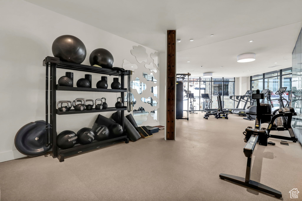 Exercise room featuring expansive windows