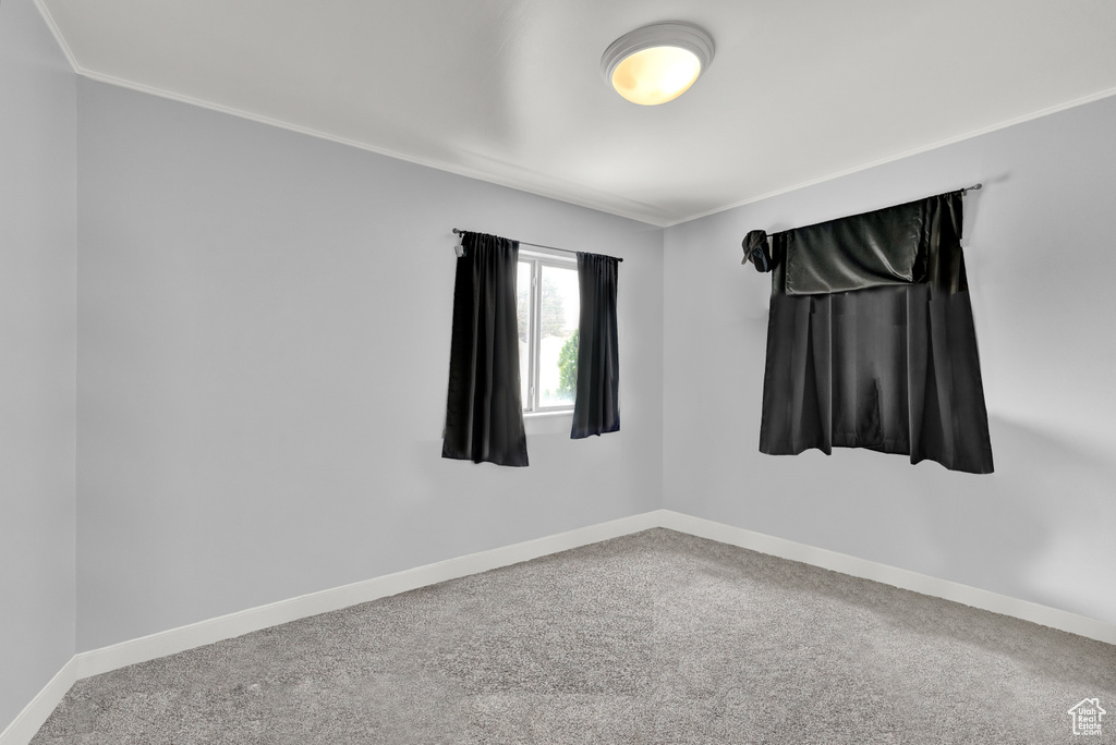 Unfurnished room featuring carpet floors and ornamental molding