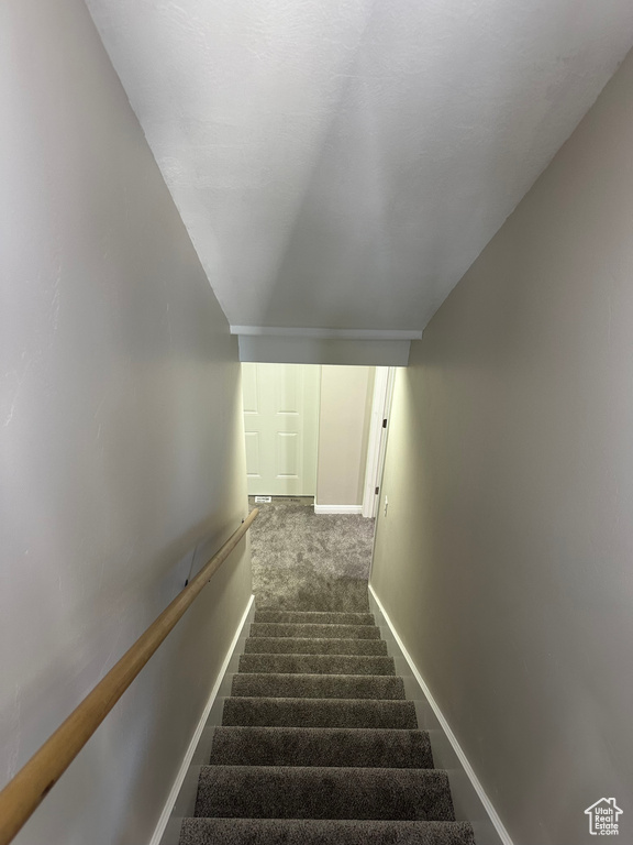 Stairway with dark carpet