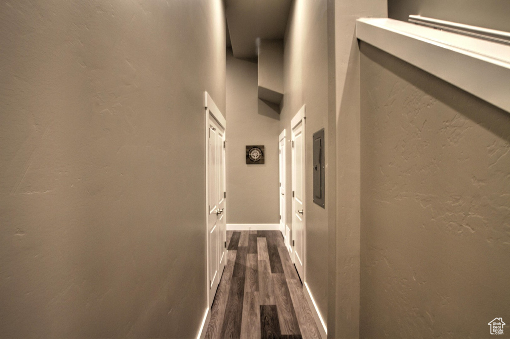 Corridor with dark hardwood / wood-style flooring and a high ceiling