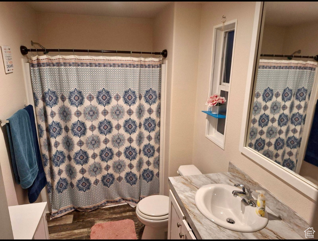 Bathroom featuring toilet, hardwood / wood-style flooring, and large vanity