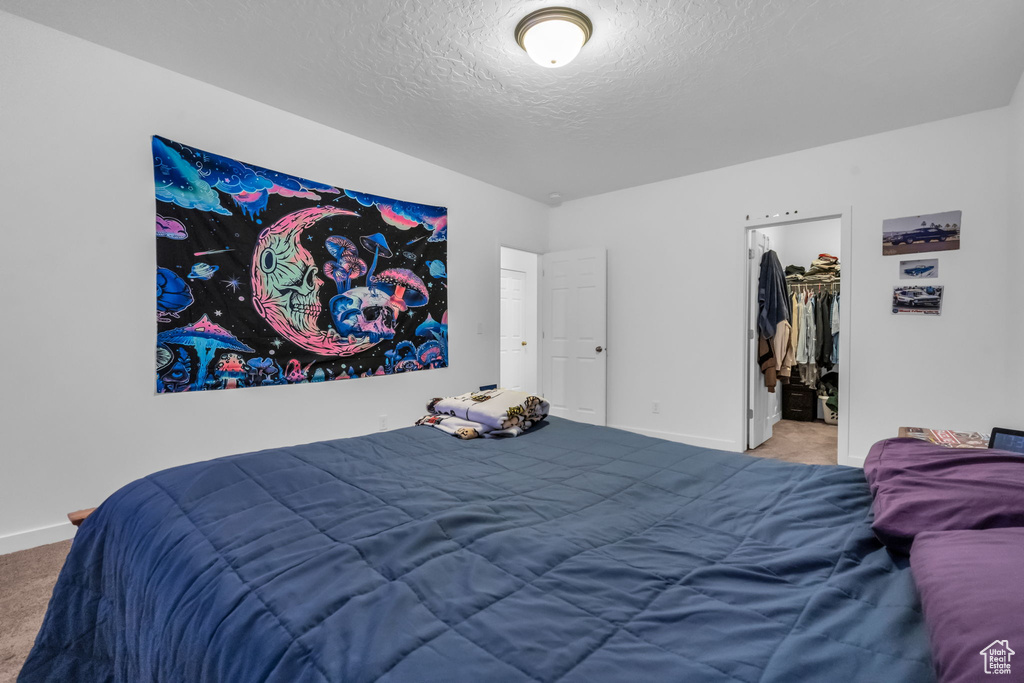 Carpeted bedroom with a spacious closet, a closet, and a textured ceiling