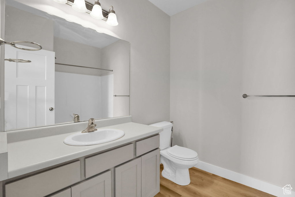 Bathroom with large vanity, hardwood / wood-style floors, and toilet