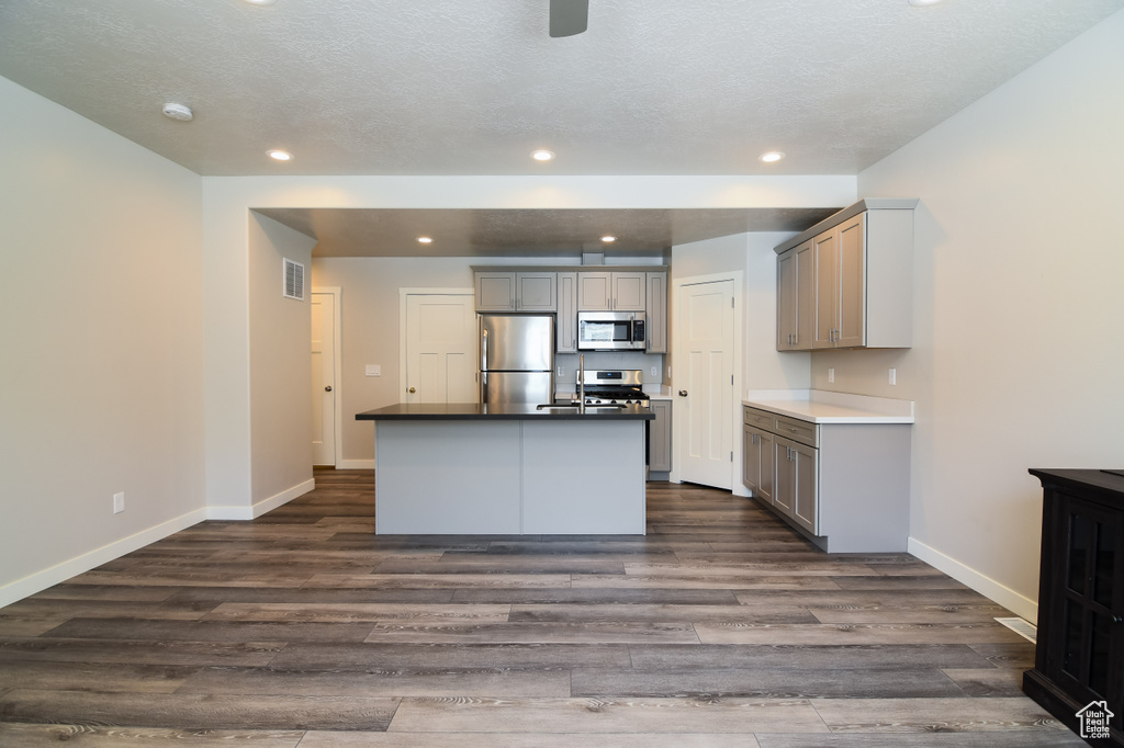 Kitchen with dark hardwood / wood-style flooring, stainless steel appliances, gray cabinets, and an island with sink