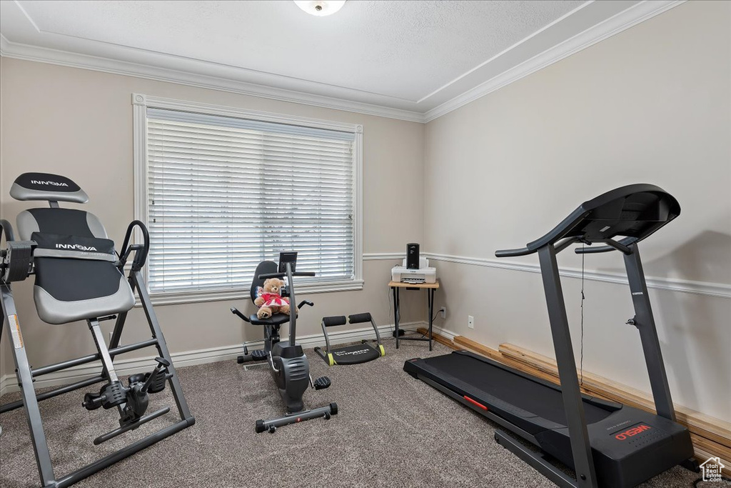 Exercise area featuring crown molding