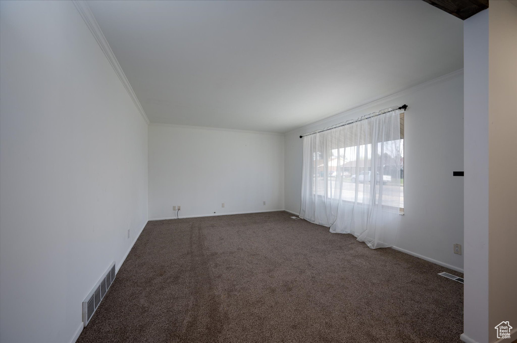 Carpeted empty room featuring crown molding