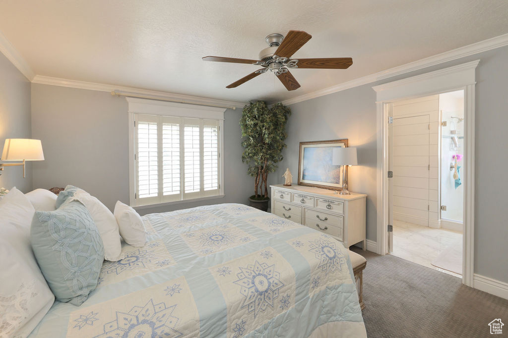 Carpeted bedroom with crown molding and ceiling fan