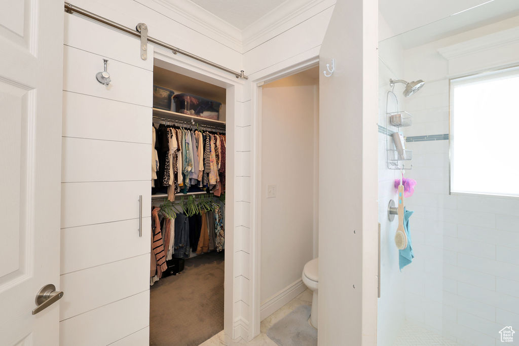 Interior space featuring crown molding, plenty of natural light, a shower, and toilet