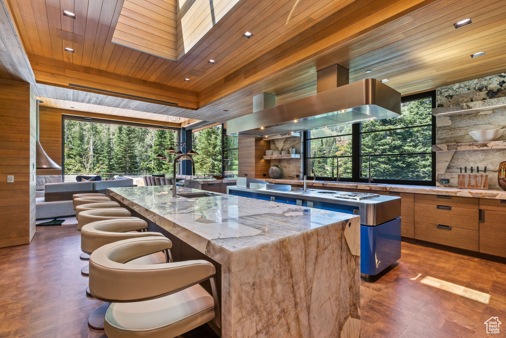 Kitchen featuring an island with sink, wood ceiling, a skylight, and light stone countertops