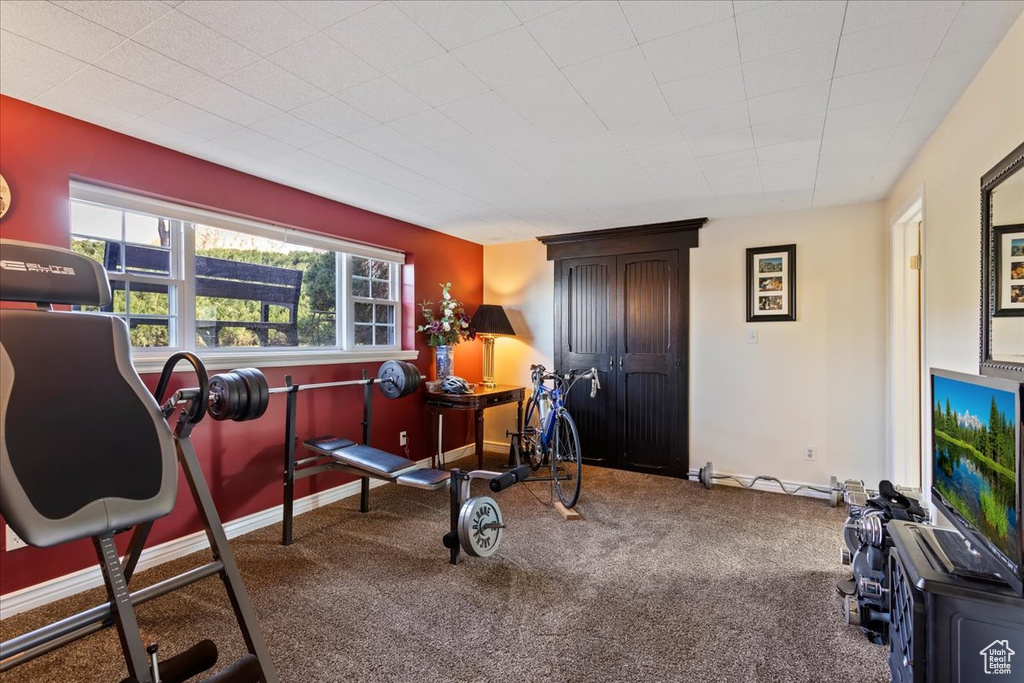 Exercise room featuring carpet floors