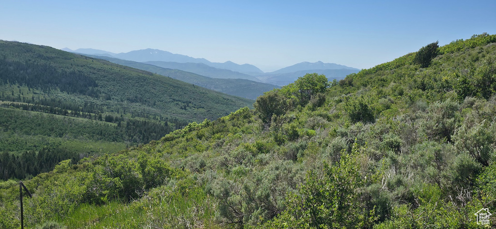 Mountain view featuring a forest