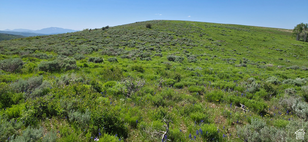 View of mountain backdrop