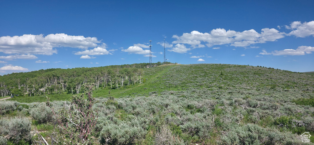 Mountain view with a forest