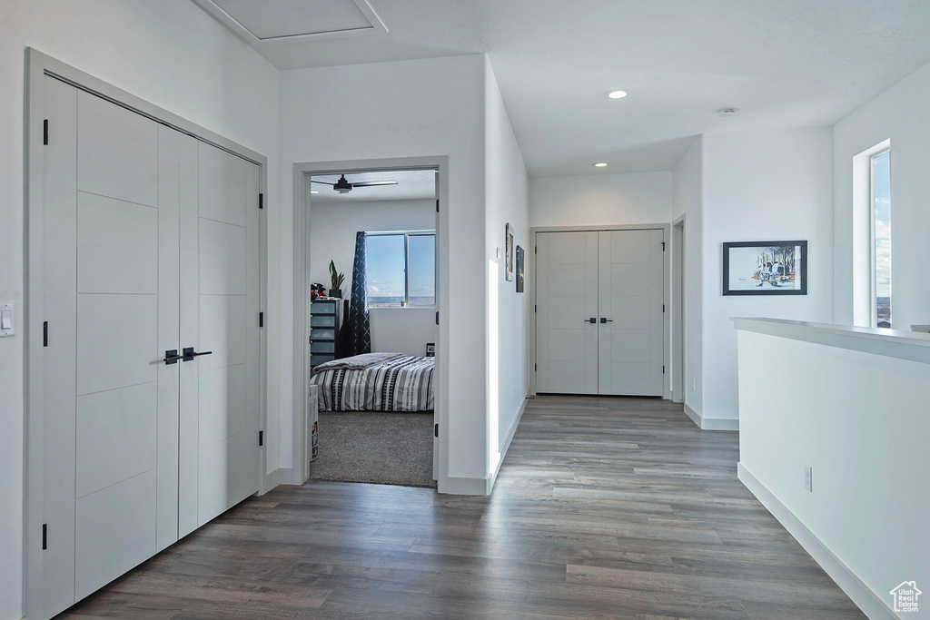 Hallway featuring plenty of natural light and light hardwood / wood-style flooring